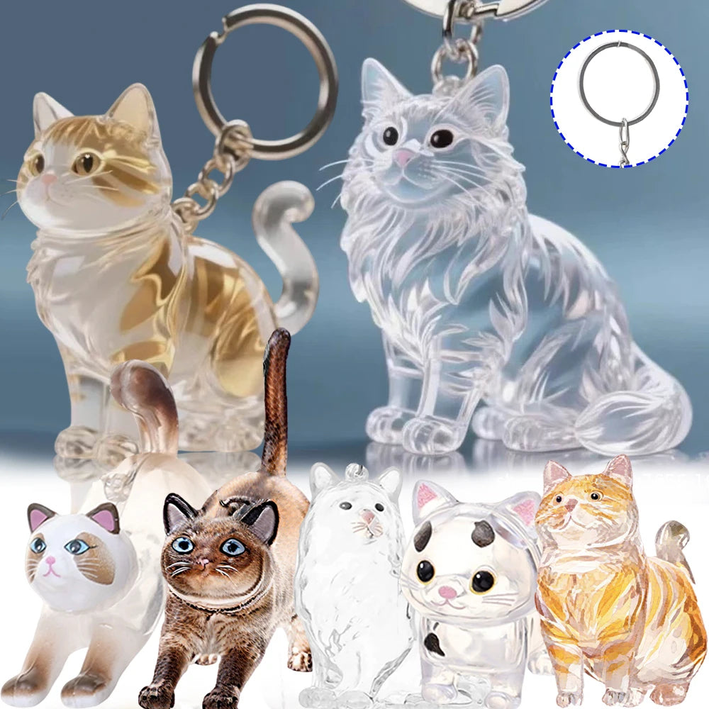 Transparent Cat Fur Keepsake Keychain | Pet Hair Memorial Keyring