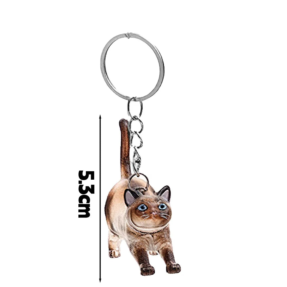 Transparent Cat Fur Keepsake Keychain | Pet Hair Memorial Keyring