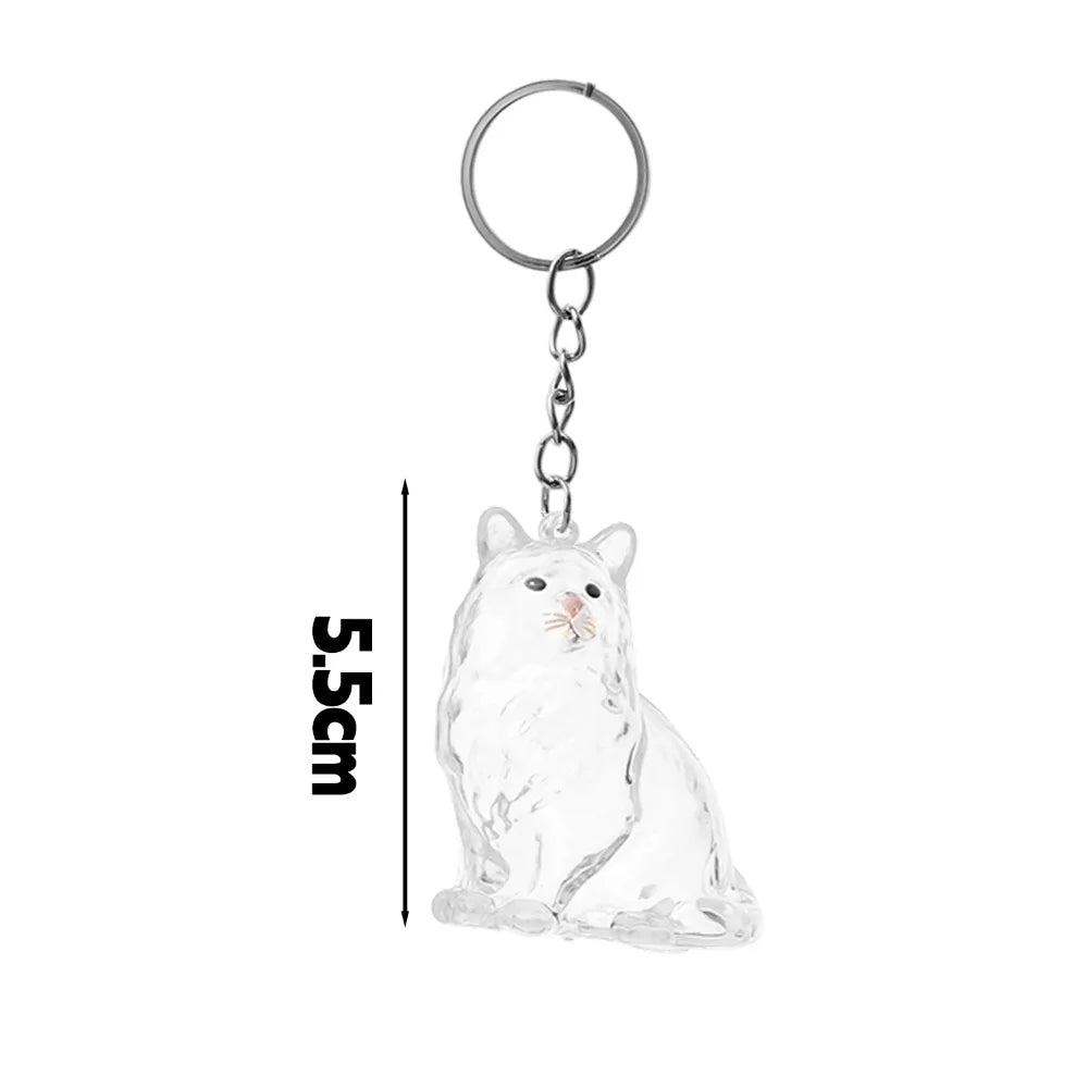 Transparent Cat Fur Keepsake Keychain | Pet Hair Memorial Keyring