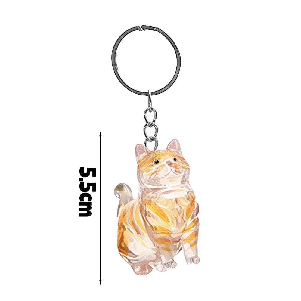Transparent Cat Fur Keepsake Keychain | Pet Hair Memorial Keyring