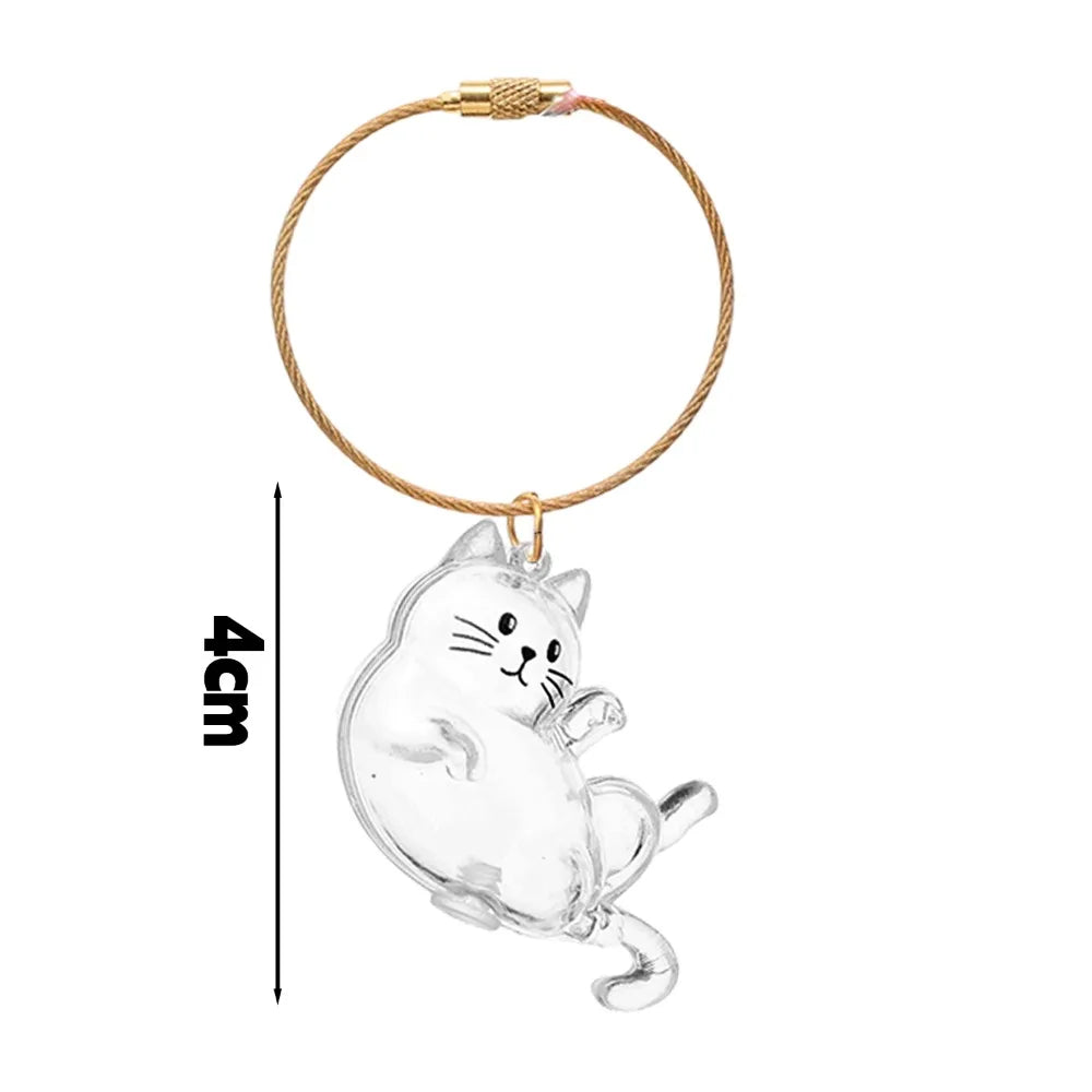 Transparent Cat Fur Keepsake Keychain | Pet Hair Memorial Keyring