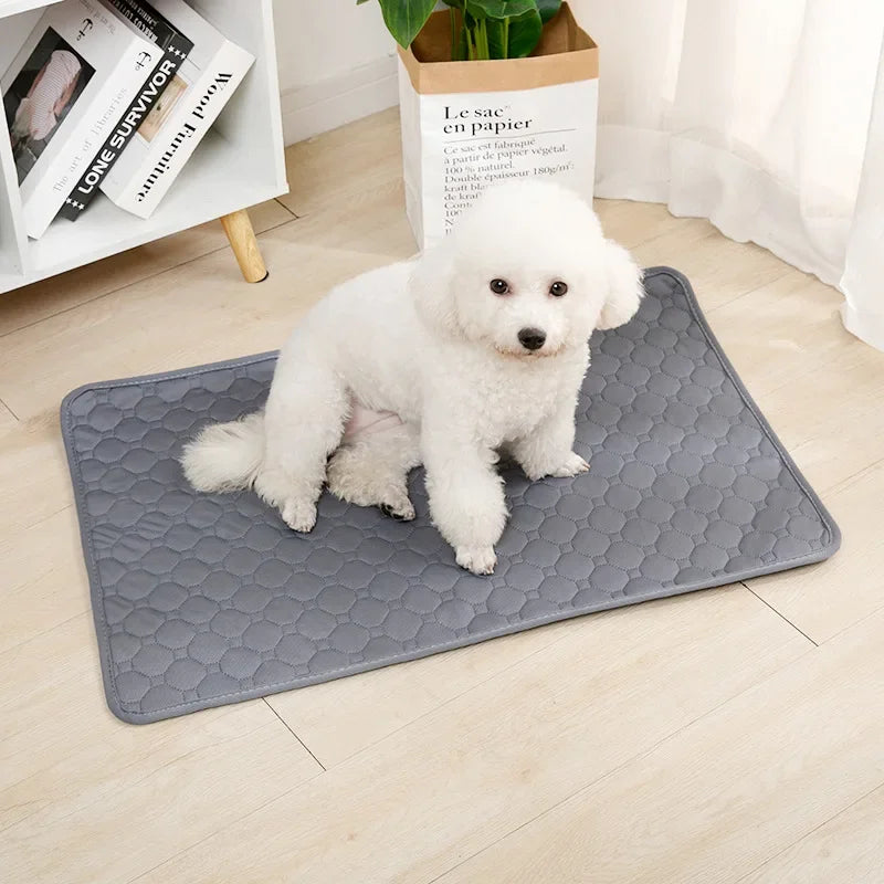 Animara Washable Dog Pee Pad – Reusable Absorbent Puppy Mat