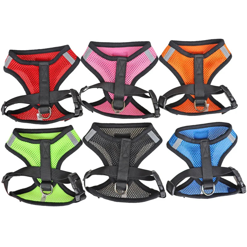 Breathable Mesh Cat & Small Dog Harness with Lead