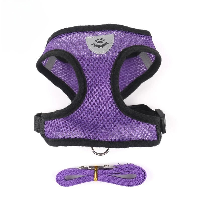 Breathable Mesh Cat & Small Dog Harness with Lead
