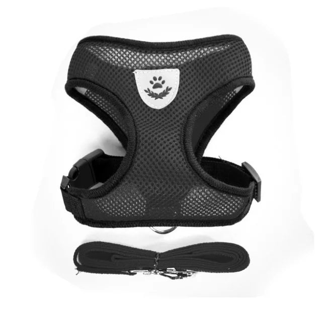Breathable Mesh Cat & Small Dog Harness with Lead