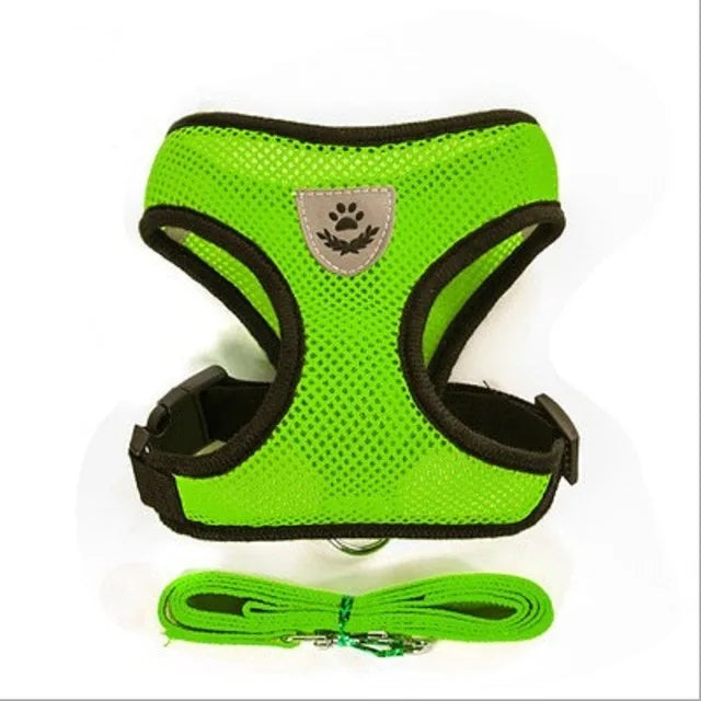 Breathable Mesh Cat & Small Dog Harness with Lead
