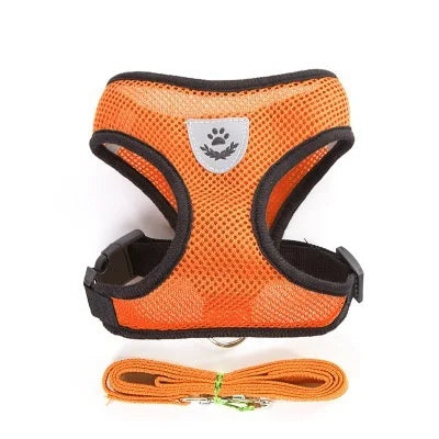 Breathable Mesh Cat & Small Dog Harness with Lead