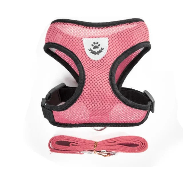 Breathable Mesh Cat & Small Dog Harness with Lead