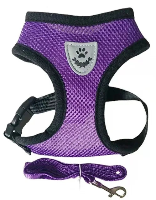 Breathable Mesh Cat & Small Dog Harness with Lead