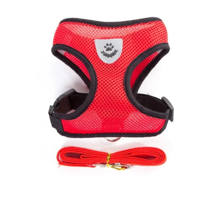 Breathable Mesh Cat & Small Dog Harness with Lead