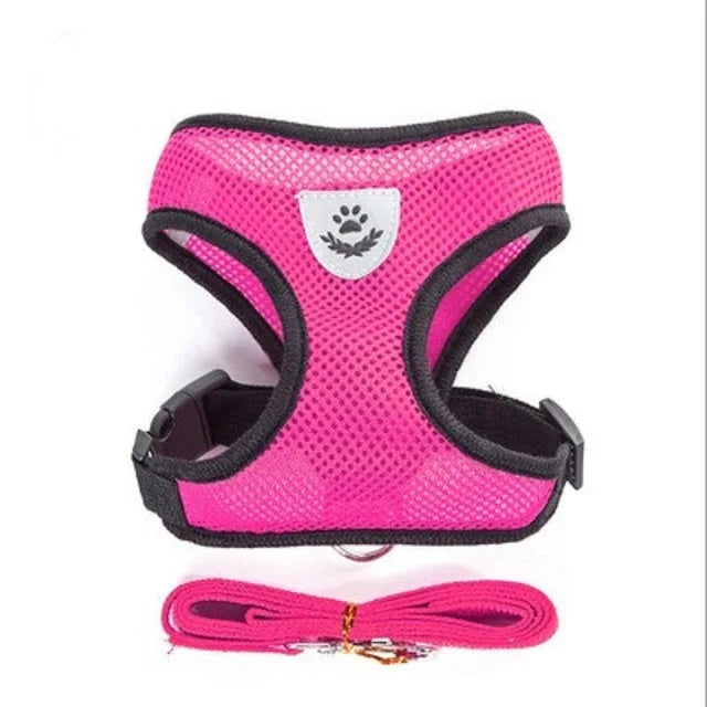 Breathable Mesh Cat & Small Dog Harness with Lead