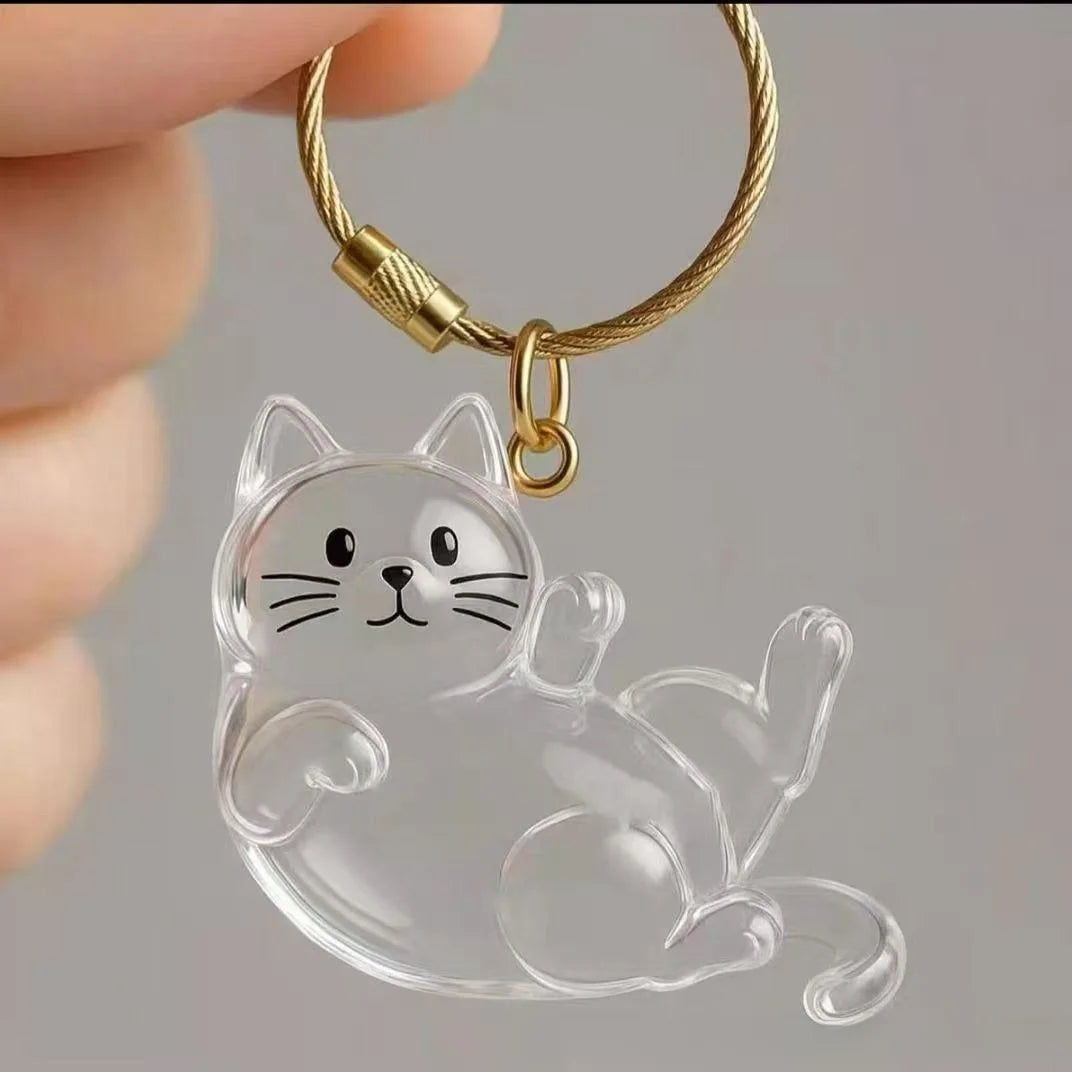 Transparent Cat Fur Keepsake Keychain | Pet Hair Memorial Keyring